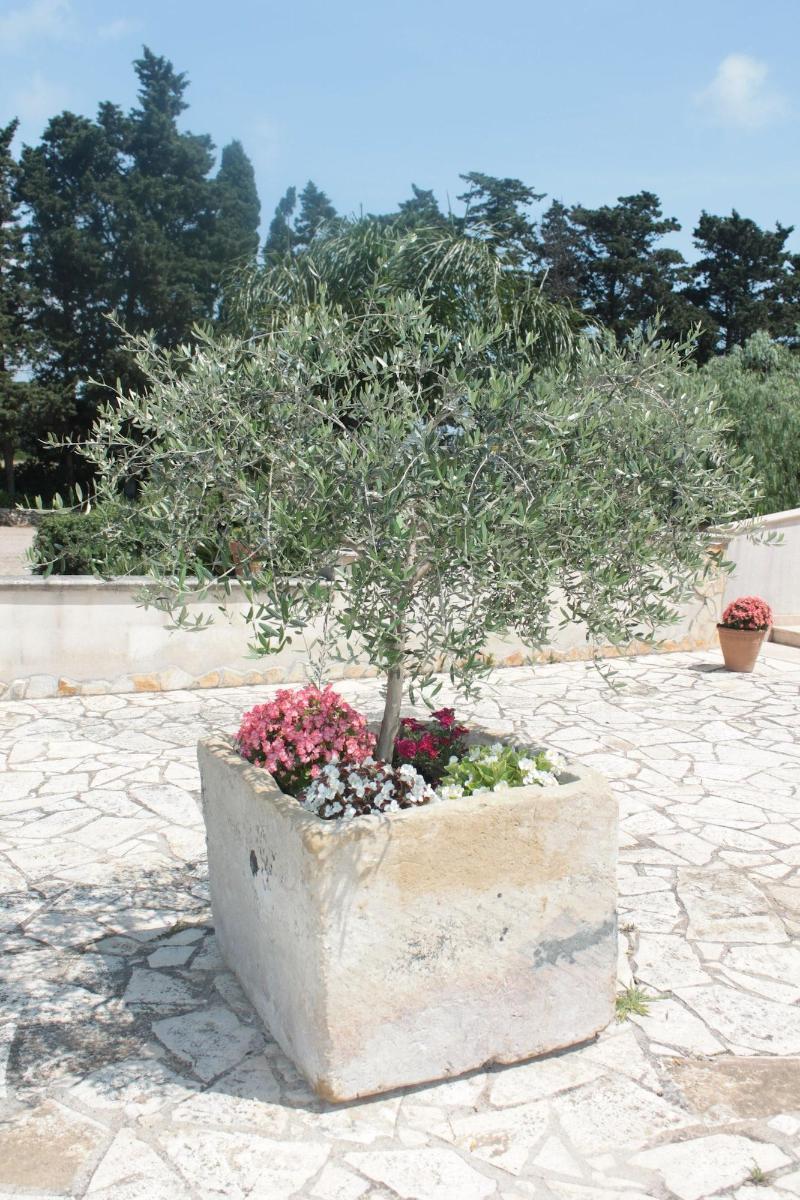 Tenuta Turchi Отранто Экстерьер фото